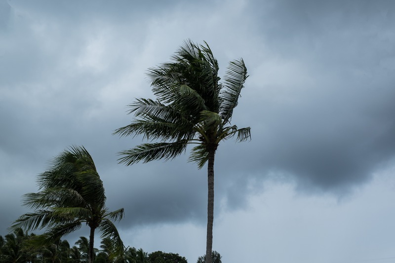 Hurricanes and Houses: Buying, selling and closing when the weather is wacky